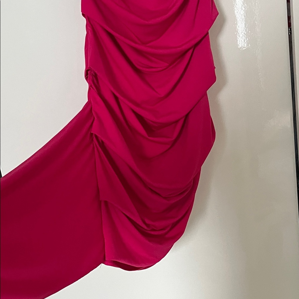 ZARA Rutched Fuchsia Dress - Picture 4 of 6